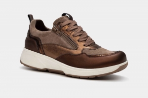Grenoble bronze brons