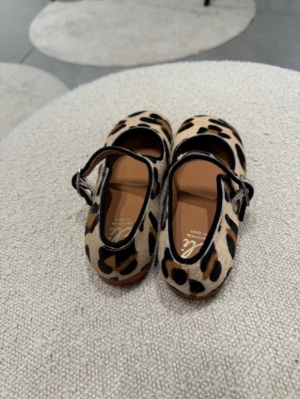 6104AB leopard somali 
