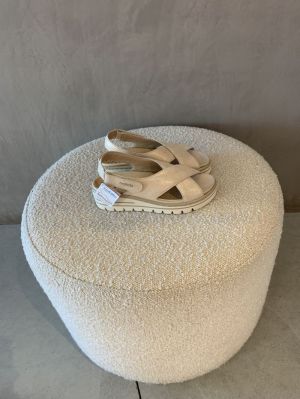 6241 cordelia goud